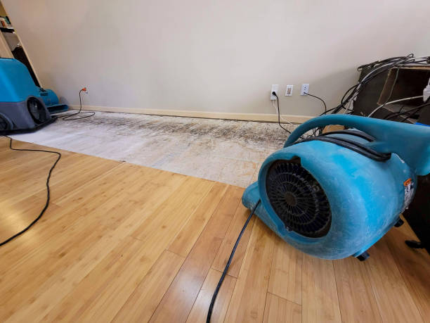 Professional Water Damage Repair technician working in Franklin, GA